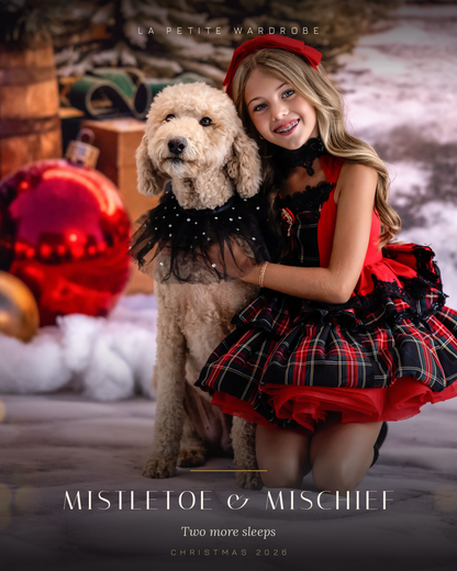 Mistletoe & Mischief